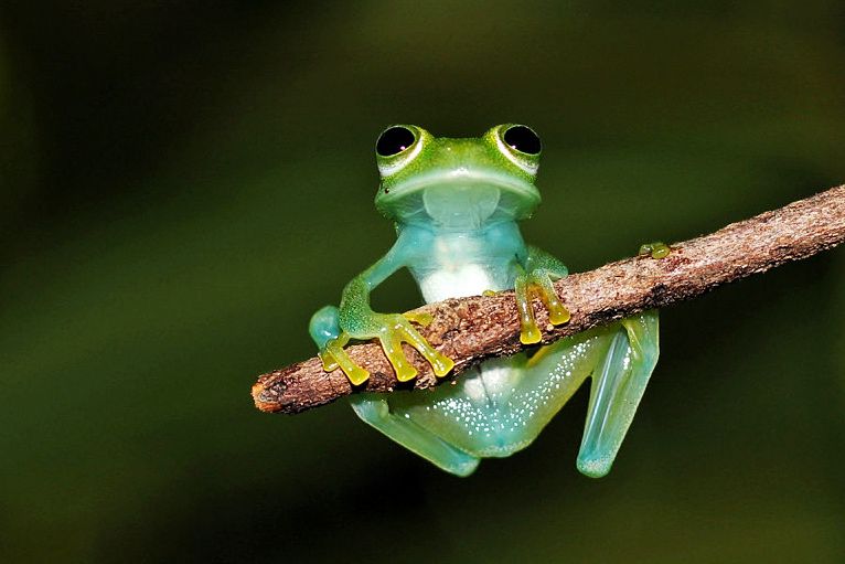 Featured Image