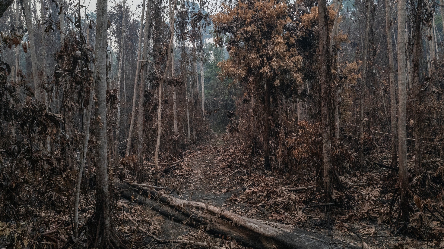 Featured Image