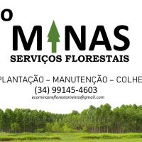 Serviços Florestais