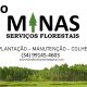 Serviços Florestais