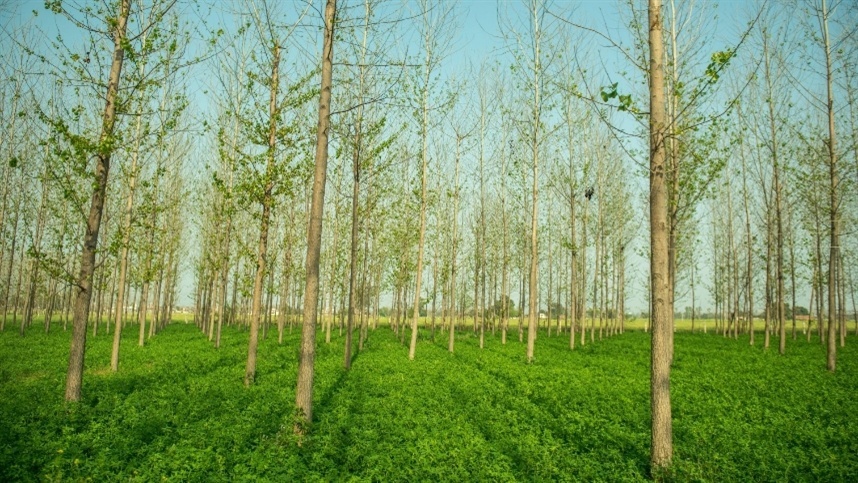 Featured Image