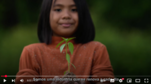 Ibá | Relatório Anual 2024