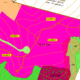 Reflorestamento de Pinus Taeda - 15,21 ha