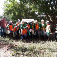 Prestação de Serviços Florestais