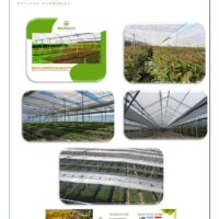 VIVEIROS E ESTUFAS AGRÍCOLAS PARA MUDAS FLORESTAIS