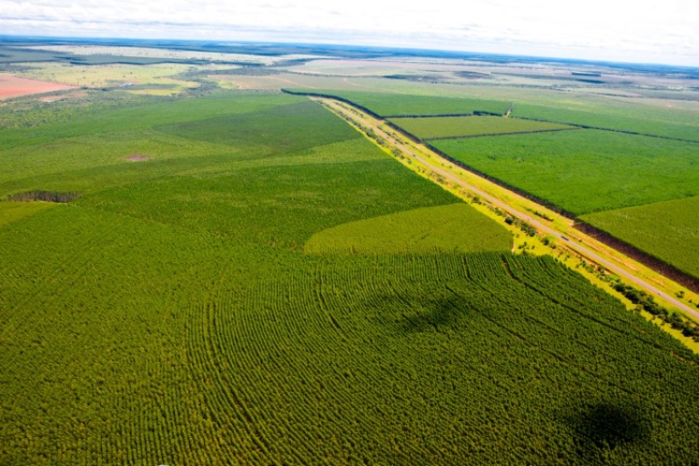 WhatsApp-Image-2026-02-19-at-16.56.51 (Pequeno)