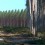 Latest News Featured Image