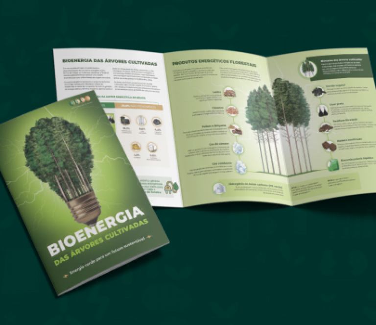 Iba-Entidade-Bioenergia-405x350