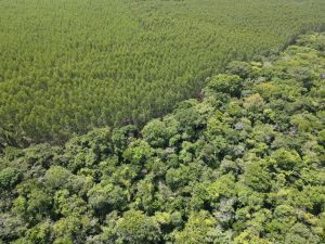 9d079155b5116dd333d9e65f9a5ecda5_medium