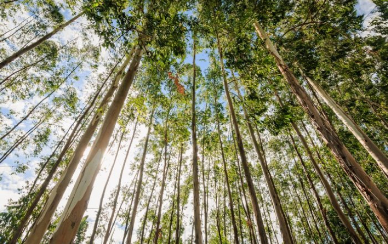 WhatsApp-Image-2026-03-12-at-15.56.17-1-700x441