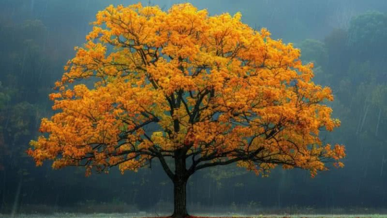 a-arvore-com-a-madeira-mais-resistente-do-mundo-tem-um-parente-famoso-no-brasil-descubra-qual_widelg