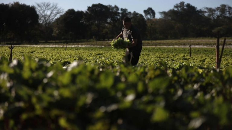 marcel-van-hattem-destina-200-mil-hospital-nossa-senhora-aparecida-camaqua-95-1