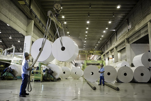 suzano-papel-e-celulose