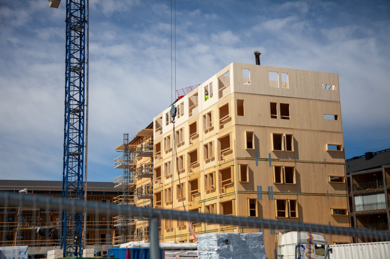 31timber01-inyt-superJumbo