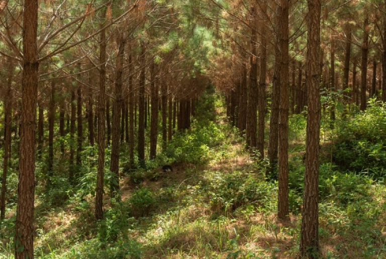 441889b9fcf695faa466f7ad302c06ed