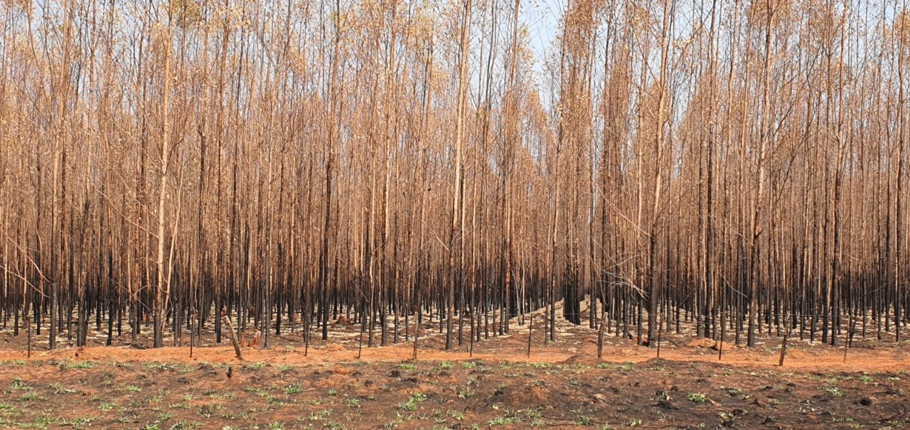 e850fd77-c7d1-454d-a988-364f8a9a5533