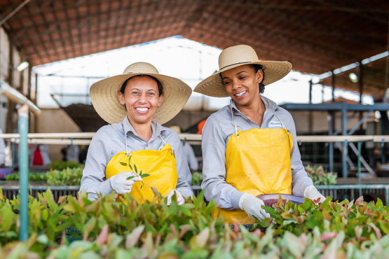 Viveiro de Mudas - Aperam BioEnergia