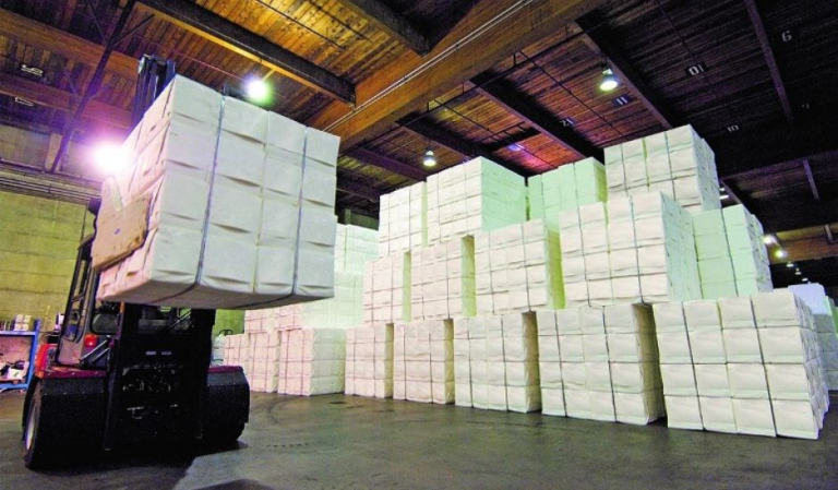 celulose exportacoes