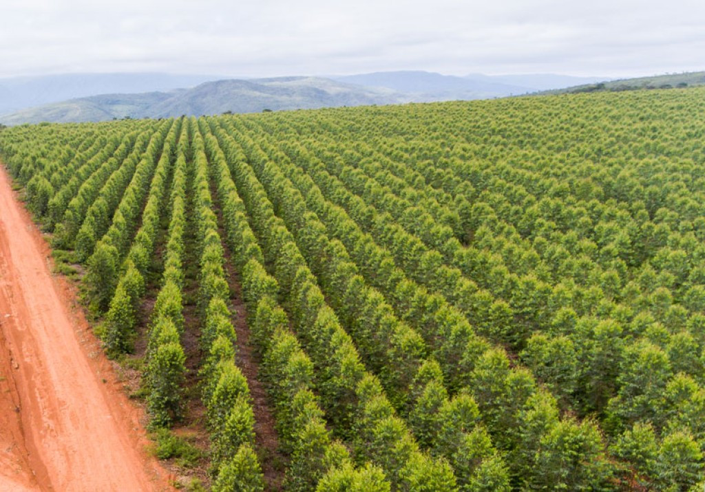 6df97677896de2a94605c7f27704684a