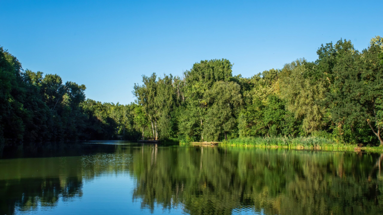 A lake with a forest in Chisinau, Moldova