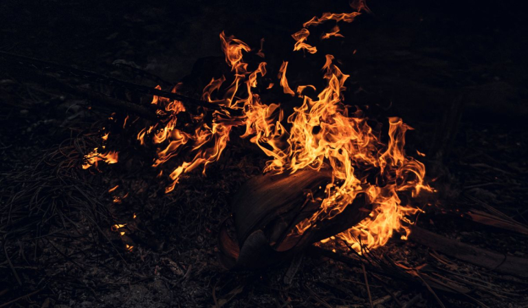 Incêndios florestais podem ocorrer devido à baixa umidade relativa do ar
Foto: Canva/ND Mais incendios-florestais-podem-ocorrer-devido-a-baixa-umidade-relativa-do-ar-canva-nd-mais