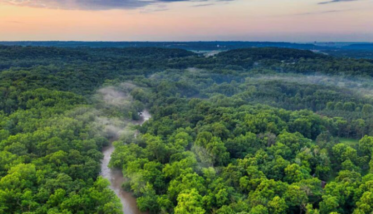 Florestas crescem mais rápido, mas estão perdendo diversidade e força (Imagem: Pexels via Canva)
Opera Instantâneo_2026-02-11_133147_noticias.r7.com (Pequeno)