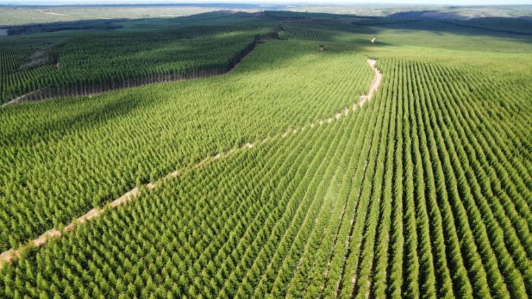 auto-upload-3129808 (Pequeno)