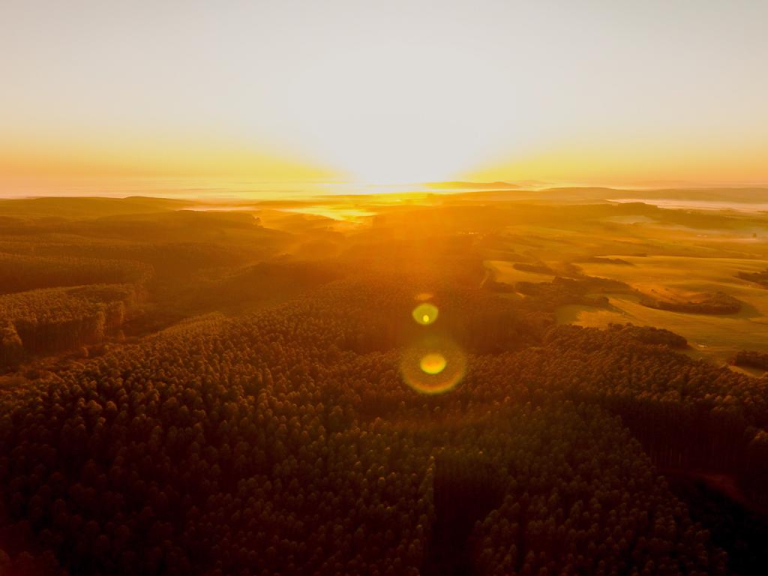 Foto Florestal Barra