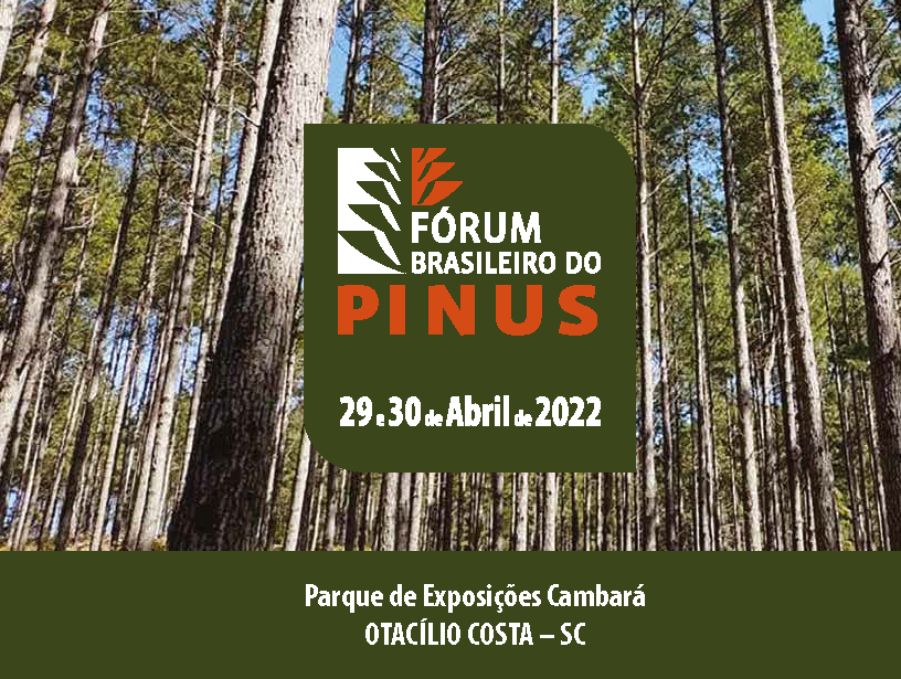 Forum de Pinus_Página_1