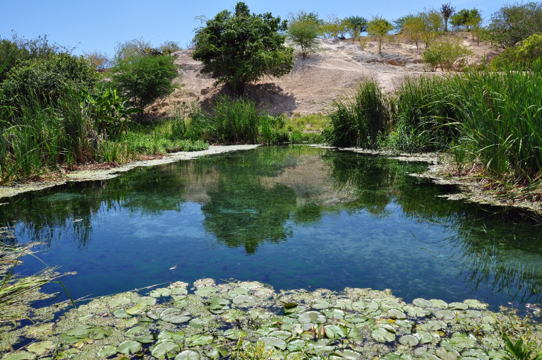 016eacd5c698c8c6538e58ab33b898aa