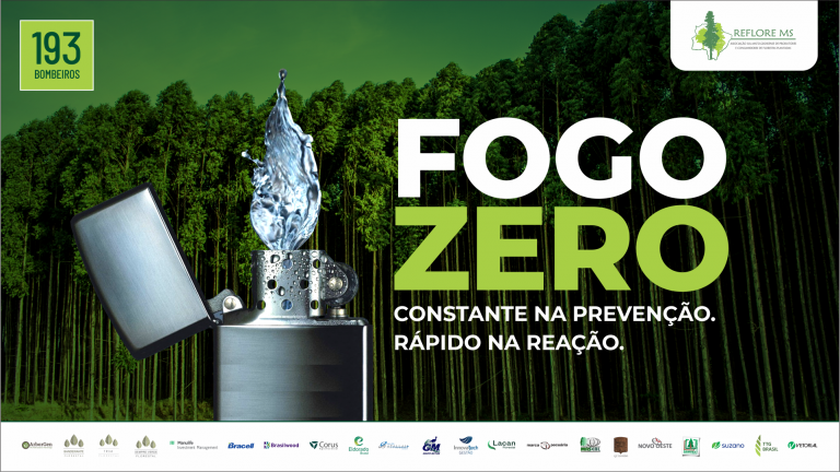 foogo zero arte - Campanha 2022