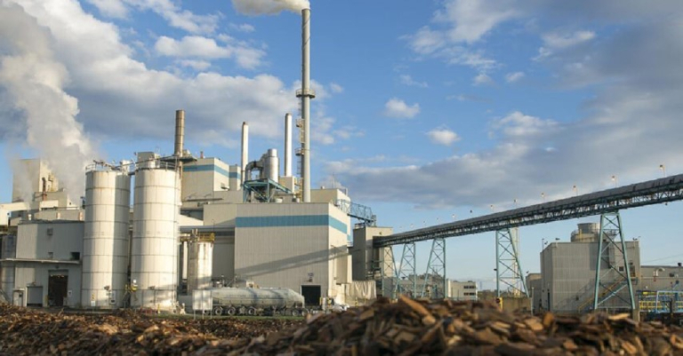 Paper-Excellence-Brasil-inicia-transicao-de-marca-e-passa-a-integrar-identidade-global-da-Domtar (Pequeno)