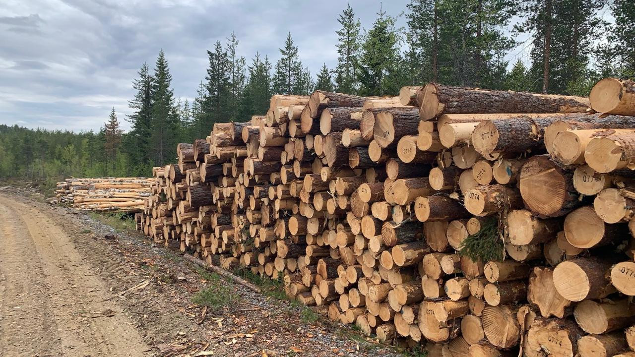 99c820c0-7c93-45b8-873d-95ca5abee770