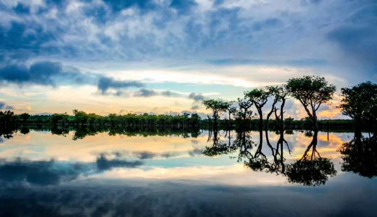 Amazônia
