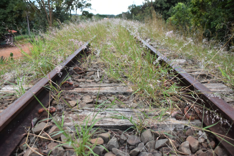 03-0525-0025-trilhos-go