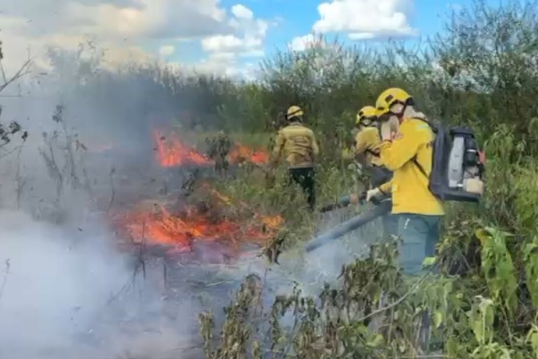 incendio-pantanal