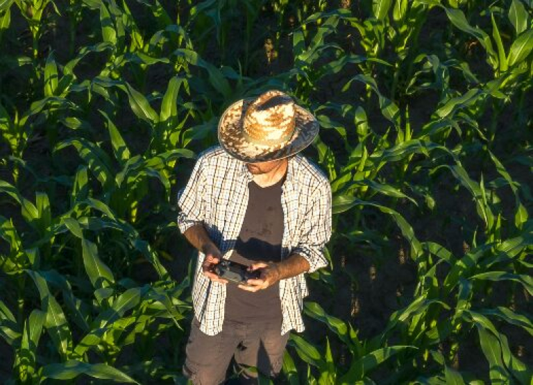 Opera Instantâneo_2026-02-23_155145_www.sulboro.com.br