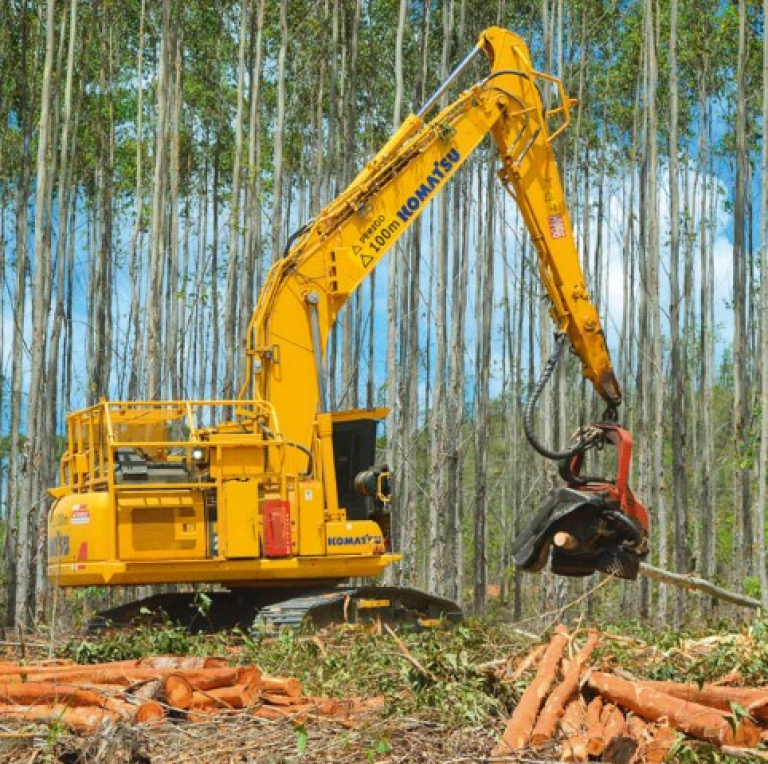 89321142618022026_A9Rw5bfwp_pd9ew_8xc (Pequeno)