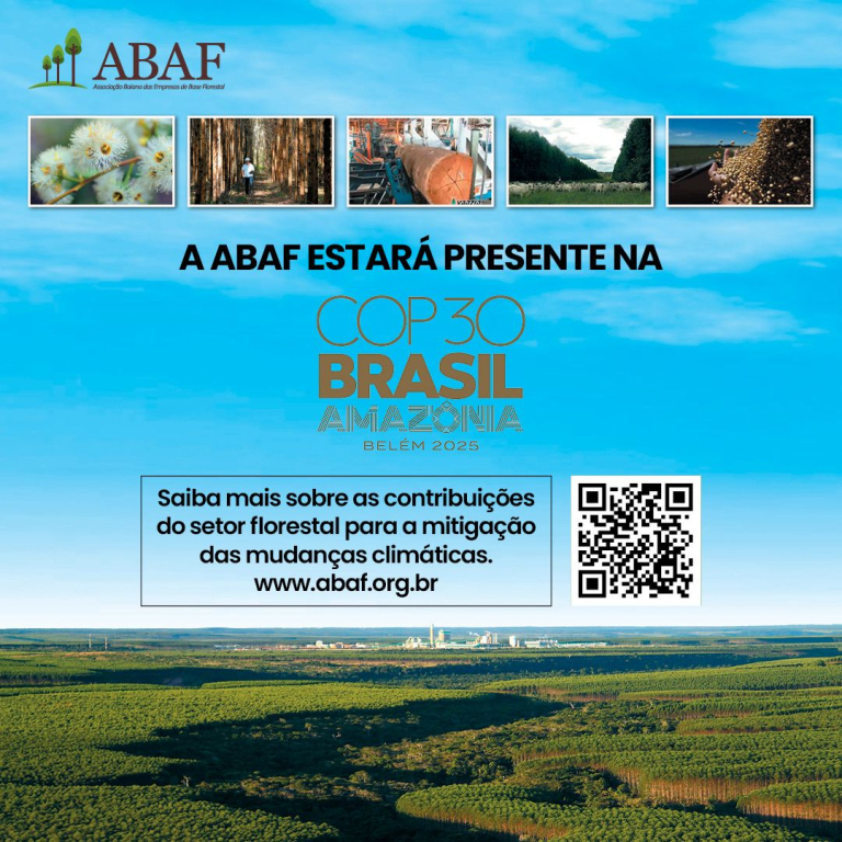 WhatsApp Image 2025-11-10 at 12.28.00