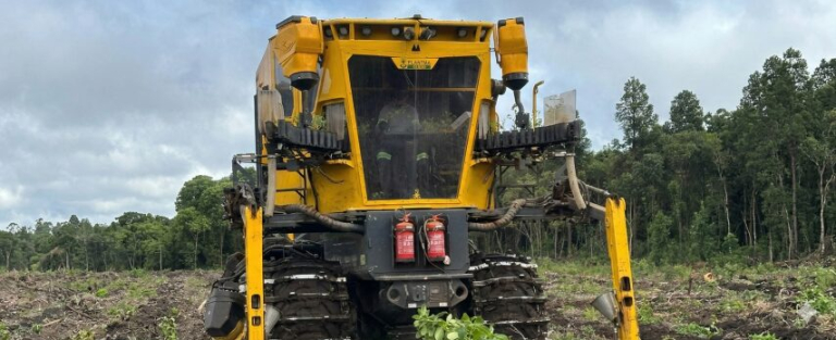 Gemini_Generated_Image_jyee9sjyee9sjyee (Pequeno)