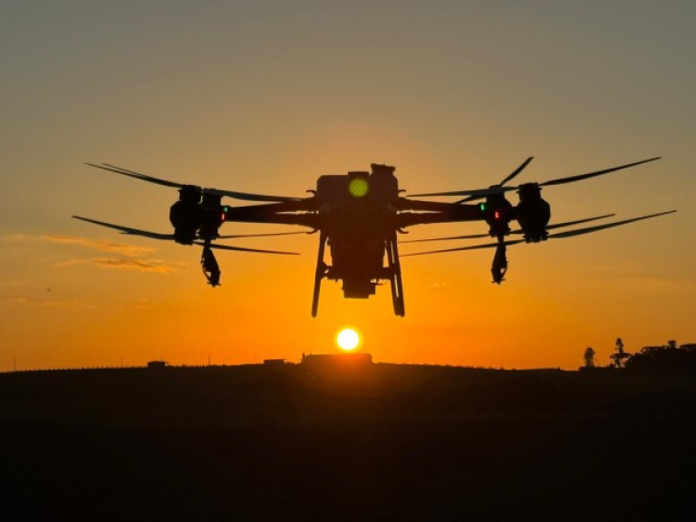 WhatsApp Image 2026-02-10 at 14.21.49 (Pequeno)