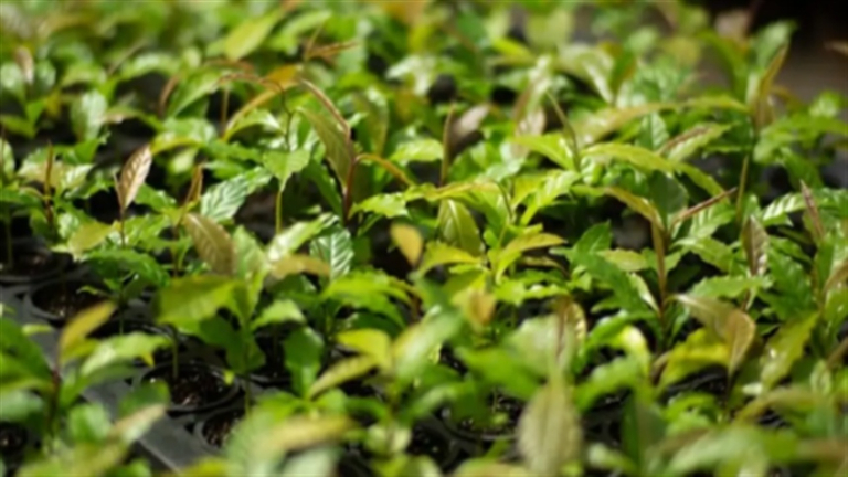 5992375434f9487e8e2e6c33277b7fb1_858x483