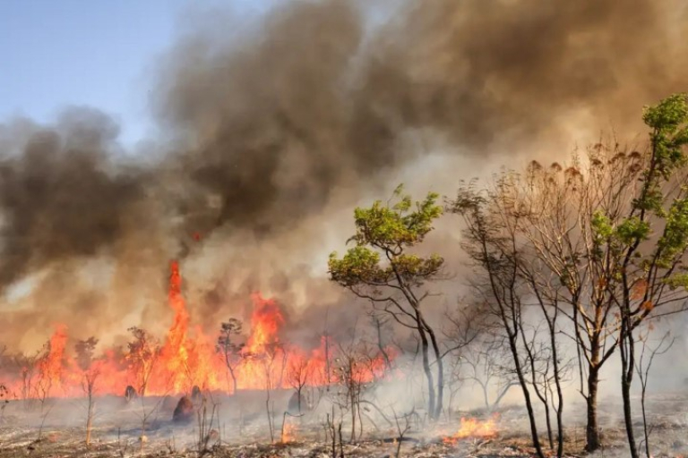 Casos graves com morte, prejuízo econômico ou ação intencional podem resultar na pena máxima. Foto: Fabio Rodrigues-Pozzebom/Agência Brasil incendios (Pequeno)