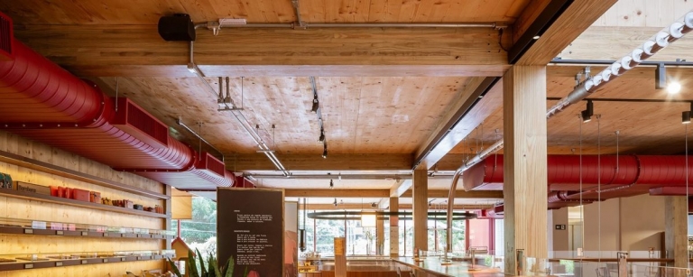 BLOG-DE-NOVEMBRO-FOTO-DESTAQUE-1200x480