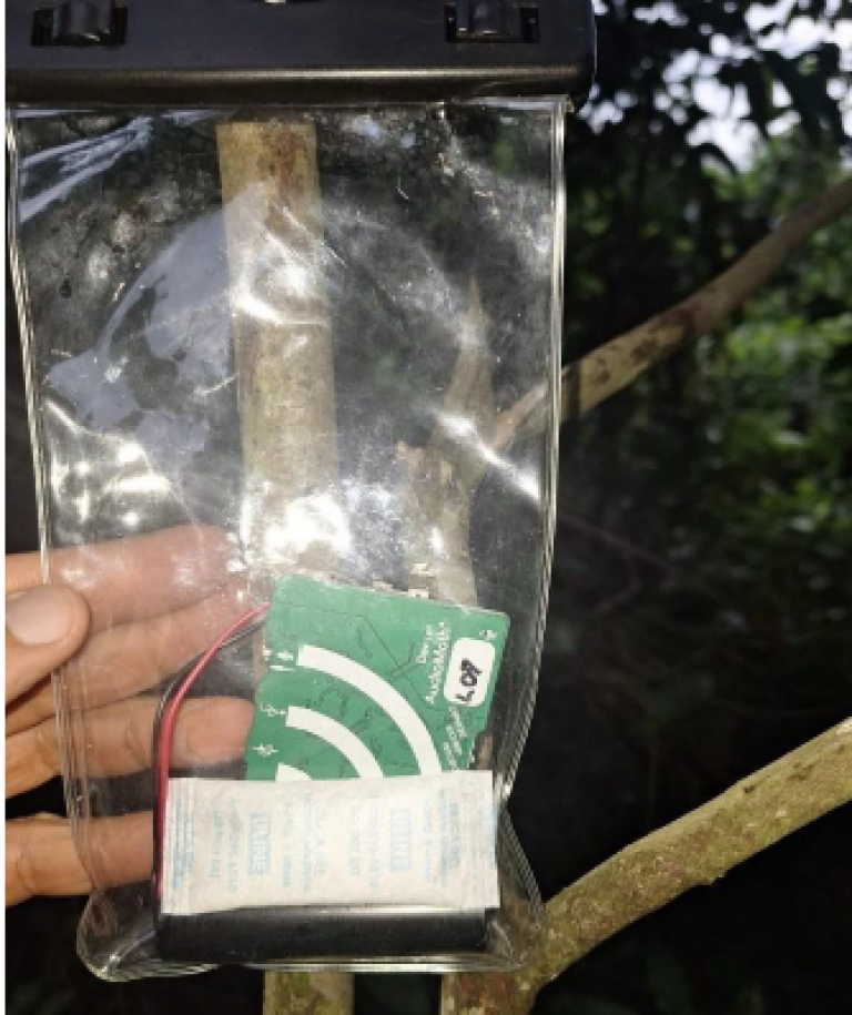 Suzano_armadilha_DNA Ambiental3