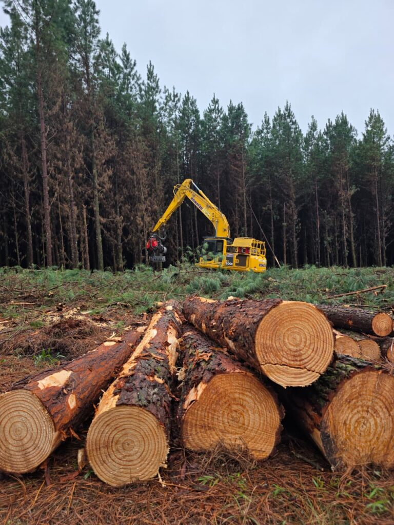 fazenda-cambiju-associada-768x1024