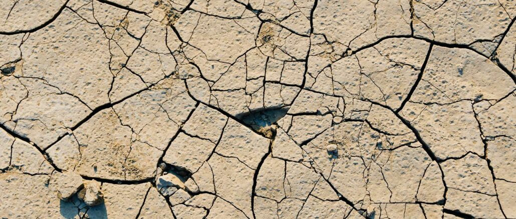 anton-ivanchenko-ESqdY3R98-Y-unsplash-pqn-1030x438