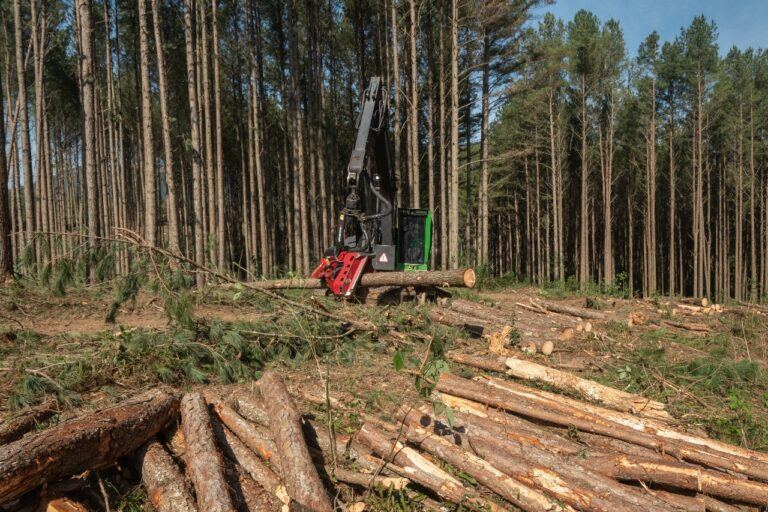 COLHEITA-FLORESTAL_3-768x512