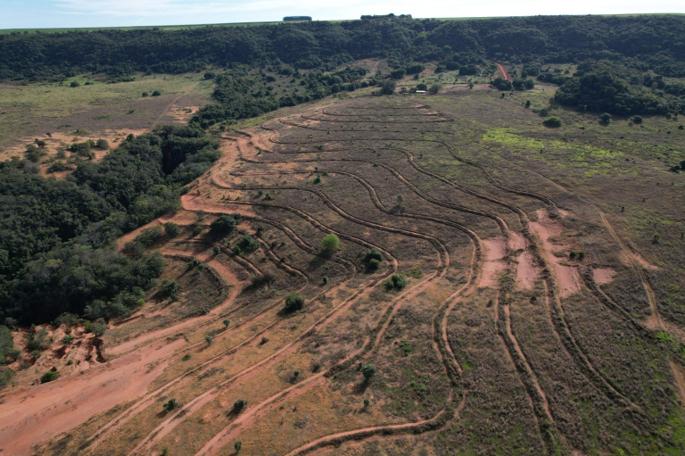 76611515624112025_WhatsApp_Image_2025-11-24_at_11.02.26