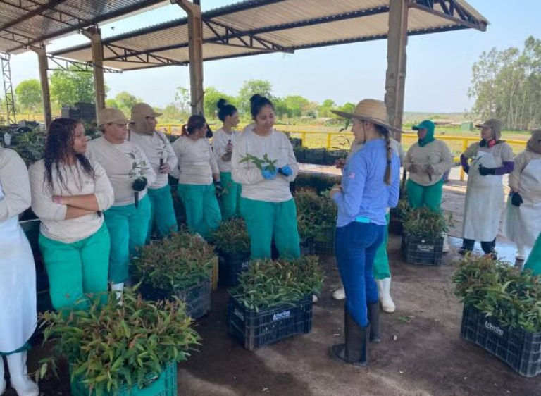 Engenheira Rayane Aparecida Silva Menezes se dedica ao melhoramento genético do eucalipto. — Foto: Divulgação/ArborGen
Opera Instantâneo_2026-03-09_165851_g1.globo.com